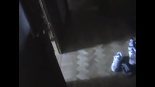 Intimate fuck session with horny pair screwing like animals