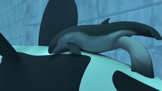Orca yiff – tasuric №3