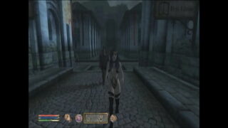 estrus compile bbb motion.avi