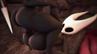 Hollow knight loop
