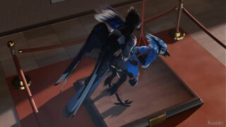 Yiff avian – ruaidri