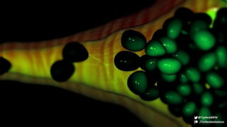 Queen’s Brood – Anime girl breeds with ancient creature