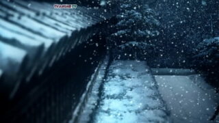 Fate/Stay Night: Heaven’s Feel 2 Lost Butterfly