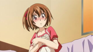 Hentai Uncensored Porn – 0tome Hime