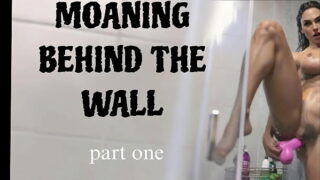 Moans Behind the Wall (part one) /Erotic Visual Comic Novel With Voice Acting