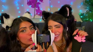 ASMR TWO Cats Flirt and Lick Your Ears with Eye Contact layered sounds – CorneliustheCat ASMR
